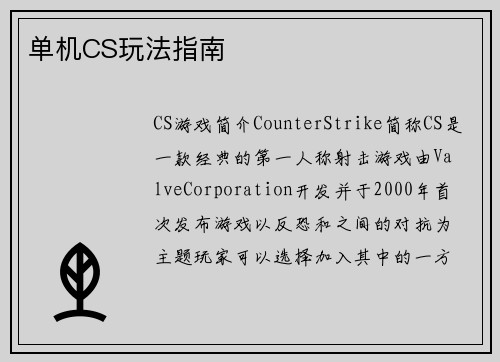 单机CS玩法指南